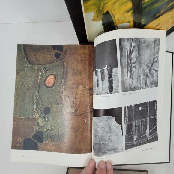 Painting in the Twentieth Century Warner Hoffmen 1966 two books set Hardcover - Picture 11 of 12